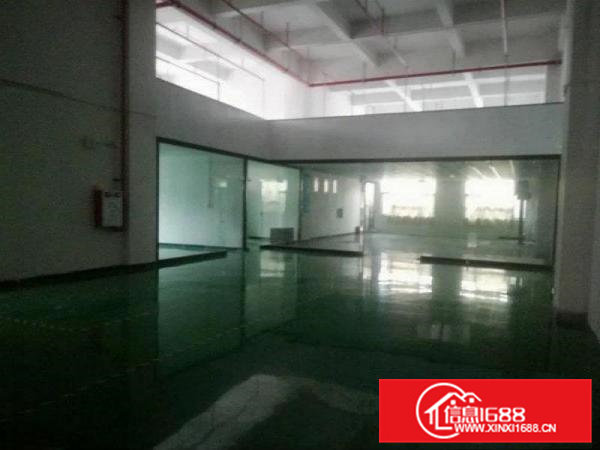 东坑新门楼新出一楼精装修500平方厂房招租