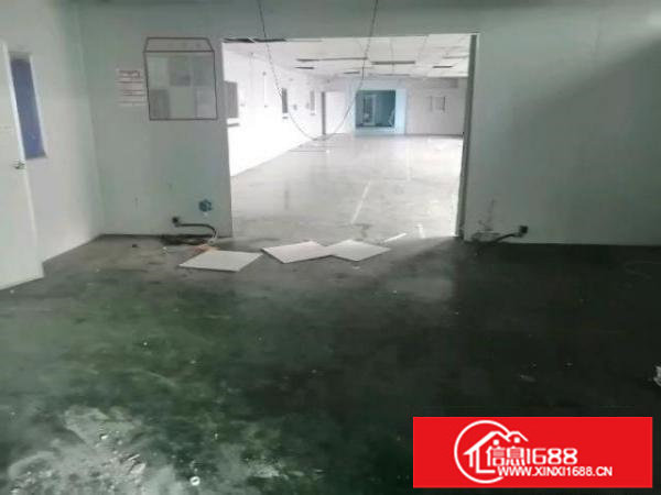 松岗精装修洁净车间出租