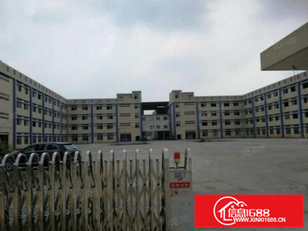 7米高大岭山科技园新出现成水电办公一楼2280平方