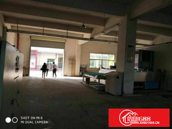 秋长新出一楼700平标准厂房水电齐全低价出租