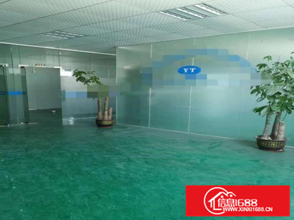 大岭山新出原房东800平方厂房招租，精装修地坪漆带办公室！！