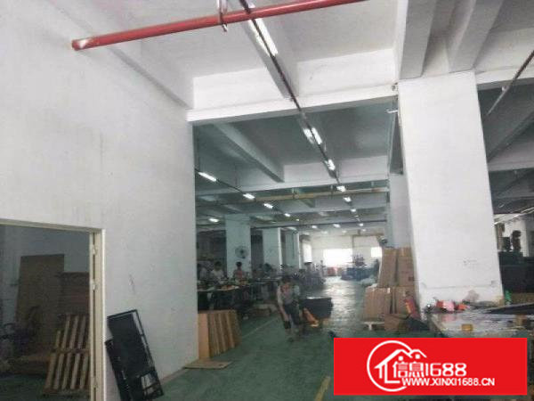 布吉布吉关谢岗1000平方米独院一楼厂房招租