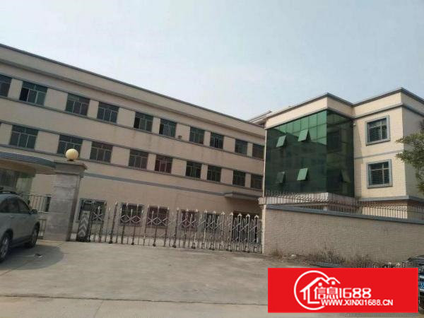 横沥原房东6000平方独院厂房出租