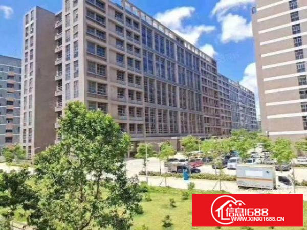 原房东红本无尘车间厂房出租1450平方