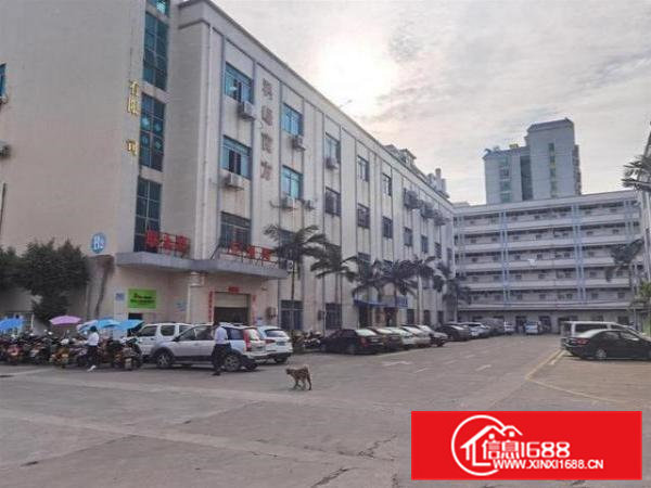 企石铁炉坑村楼上精装720平厂房空地大好招工