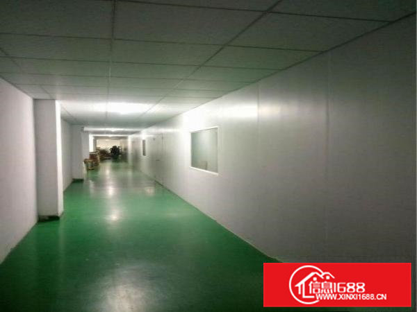 凤岗金凤凰新出无尘车间1100平方二楼