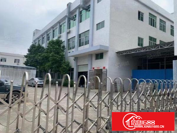 精装修2楼1000平方