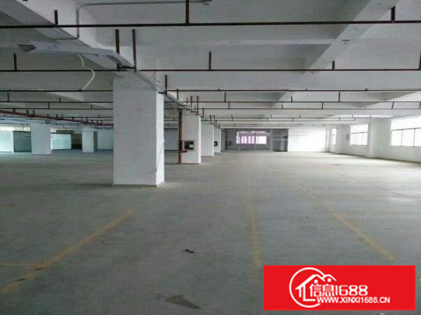 地铁站，布吉一楼厂房1500平米出租