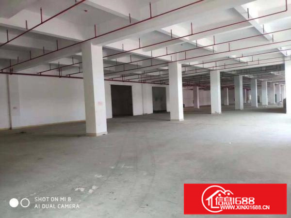 全新原房东独门独院标准厂房出租