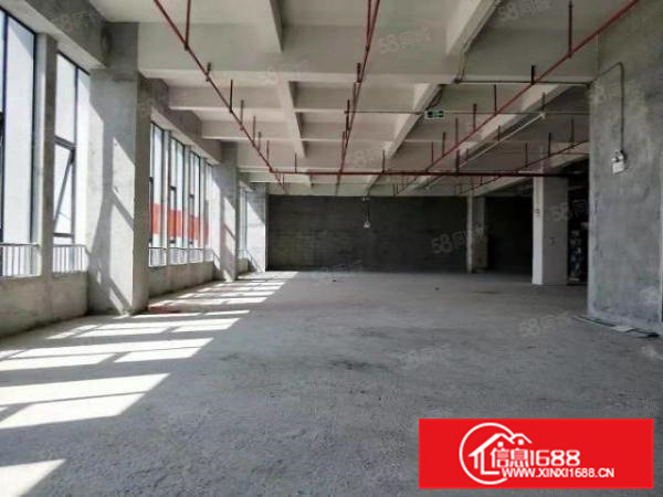 不在拆迁区，勒流全新标准8800方，可过环评，可以分租