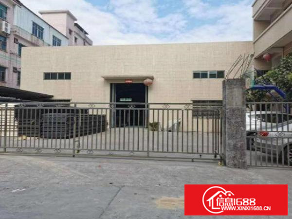 石步独院单一层厂房出租1100平方