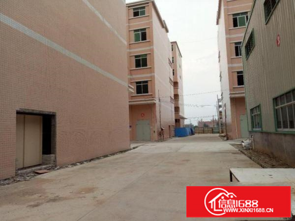 园洲镇原房东独院厂房出租可分租工业用地包办环评