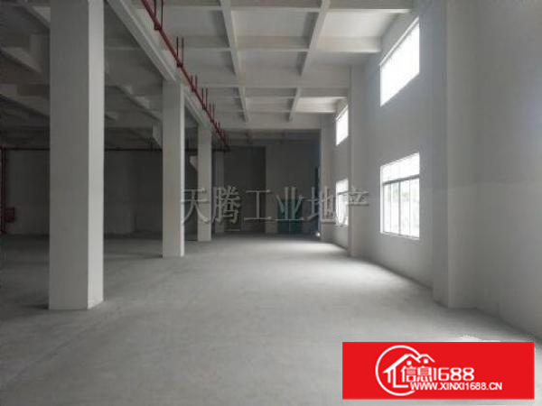 顺德9800方独门独院厂房！租金超便！可过环保！