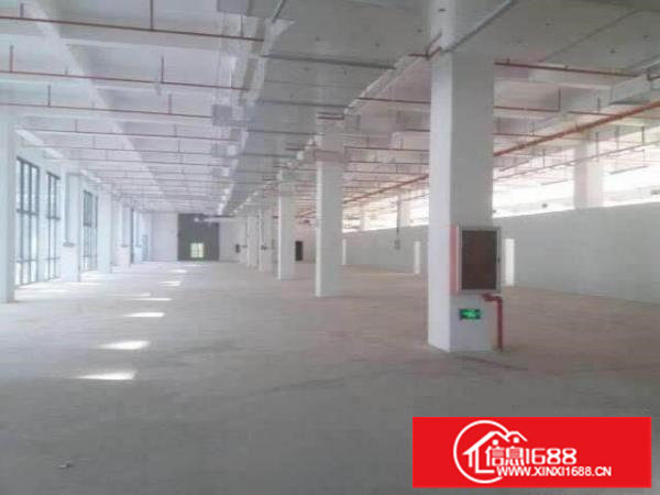 横岗沙荷路标准厂房二楼300平出租可做仓库，电子，空地大