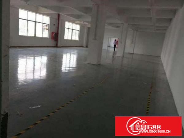大浪亿康大厦克伦特低碳产业园新出三楼610平带装修厂房招租