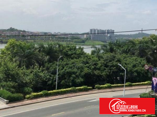 非中介，石碣滨江东路165独门独园厂房