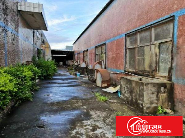 红本钢构厂房独院可分租独栋1000m2