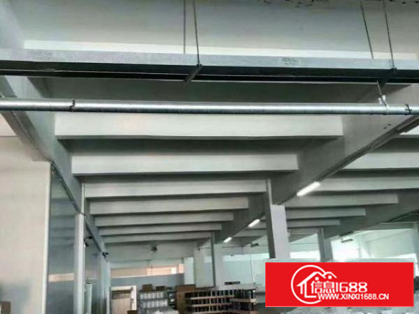 石碣镇西南一楼标准厂房