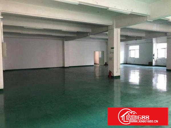 塘厦石鼓独院标准2楼380平方！地坪漆装修！小面积便宜租