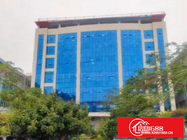 看图！大坪高速高尚独院厂房全新6楼1850平，带装修，出租