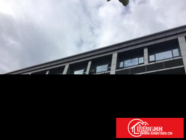 坪山坑梓秀新精装办公室出租，面积，户型多可挑选，