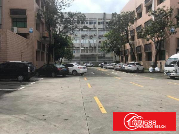 兴东地铁站花园式厂房总面积8000平方