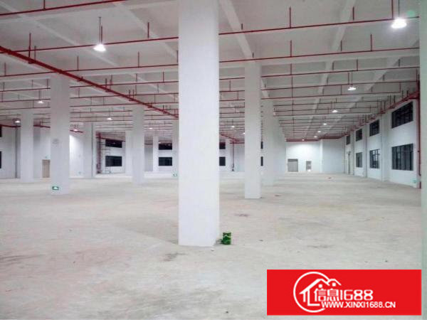 坪山大工业区整层1750平米全新地坪厂房
