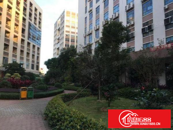 龙岗留学生创业科技产业园35000平米大小面积500平米起租