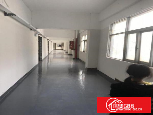 福田新空出现成装修楼房，花园式厂房1500平方可整租可分租