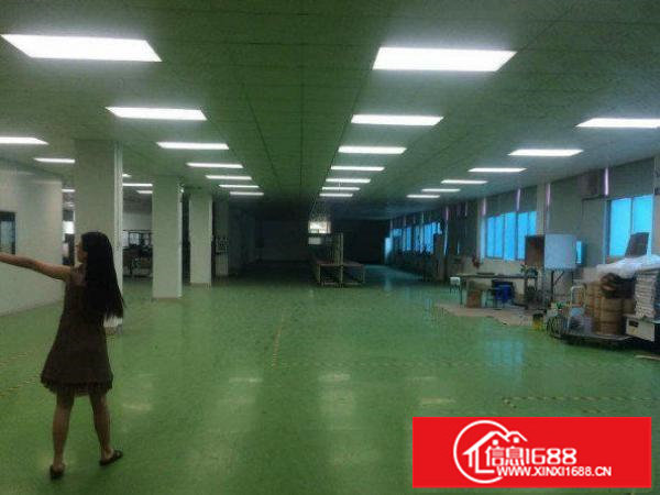 出租龙岗区浪背2楼3000平方米，交通便利