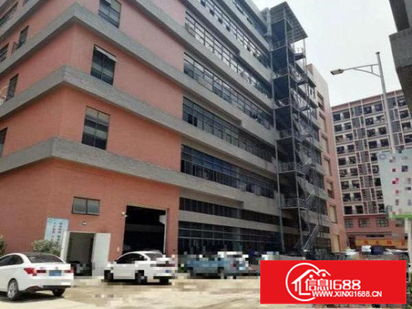 一楼稀缺1000平，带现成牛角，拎包生产，适合各行业