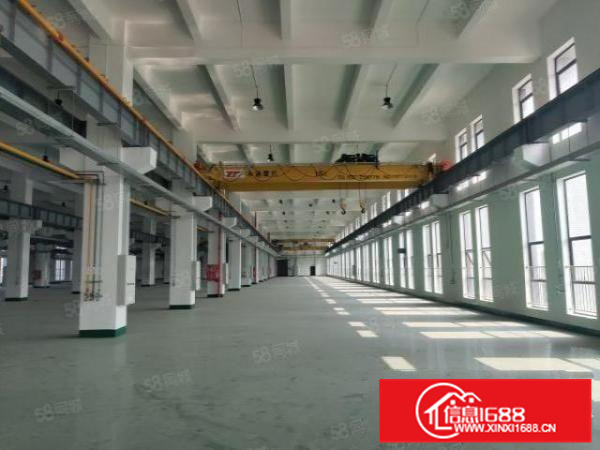 配电大，一楼4500方带航吊，层高8米，带污水处理，可办环评