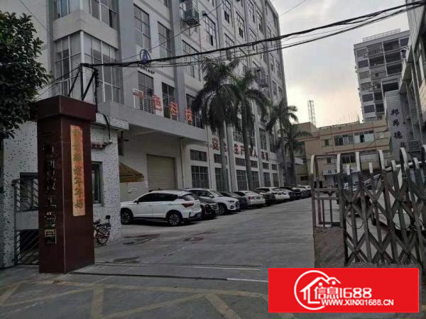 长安沙头新出标准厂房1450平出租，带精装修办公室水电齐全