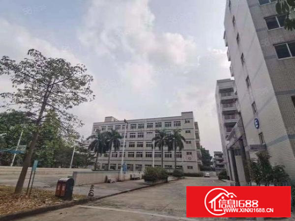 常平花园式独栋厂房出租,带装修拎包入住,水电齐全,宿舍按需