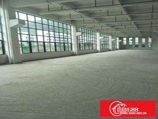 全新厂房可分租单层面积2000到3000