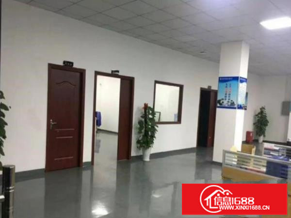 五和大道2楼1900平招租带精装办公室层高6米主体消