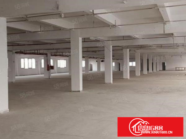 高埗新出原房东厂房出租，可分租，可做小型加工电子五金模具行业