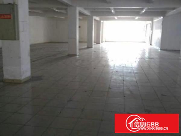 万江花园式厂房分租一楼1000平方;地段好交通方便、高度5米