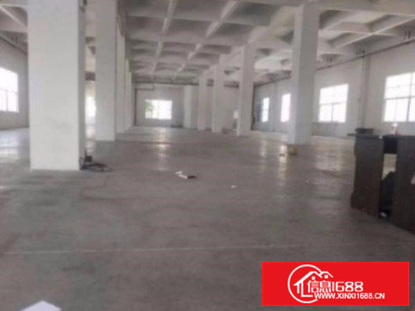 清溪塘厦科苑城标准厂房一楼930平出租周边环境好招工易