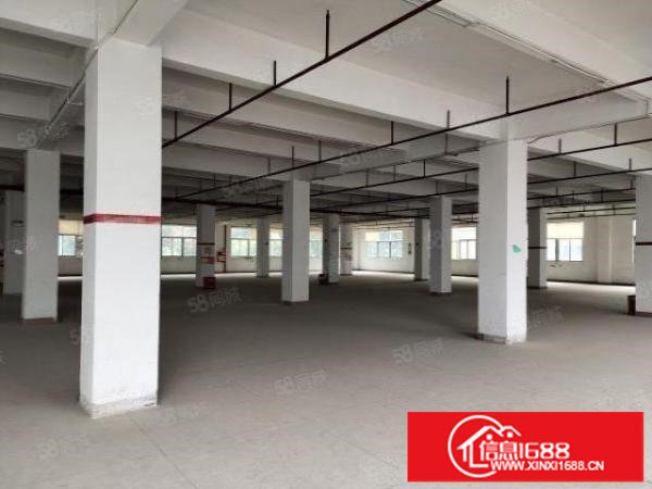 观澜观光路旁花园式工业园2450平标准厂房出租，靠近梅观高速