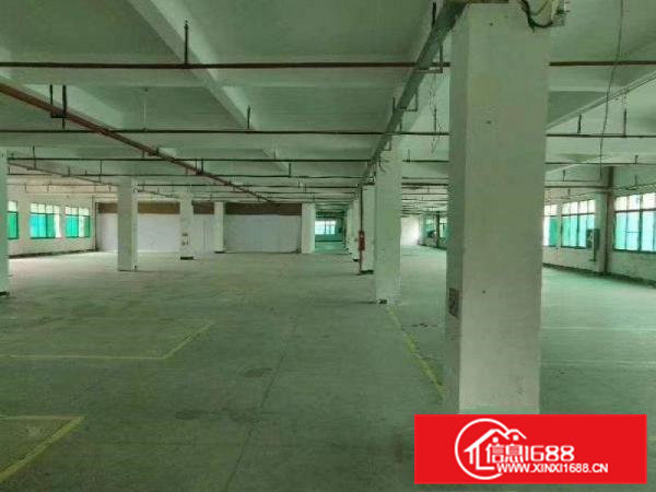 桥头镇成熟工业区花园式厂房楼上1860平，带装修