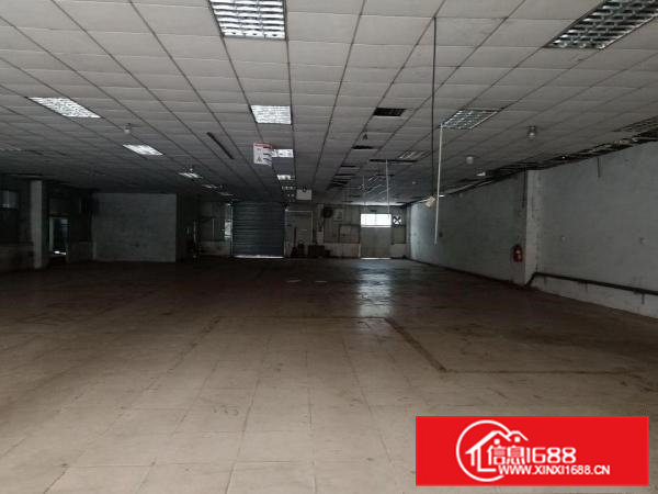 大岭山向东村空出一楼带隔热层钢构1300平方厂房出租，精装修