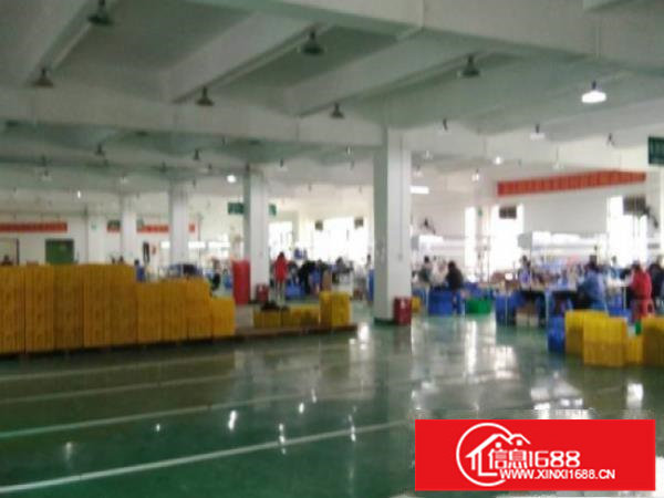 坪山新出原房东4700平红本独栋厂房出租