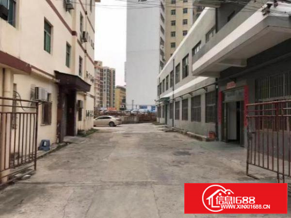 新福永靓盘，独门独栋，