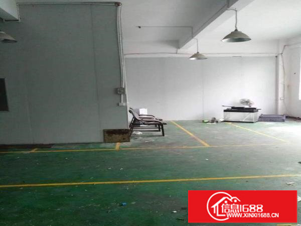 横岗228工业园新出楼上240平精装修厂房出租