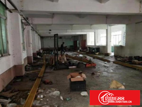 清溪大利村一楼1250平招租可精装修办公室