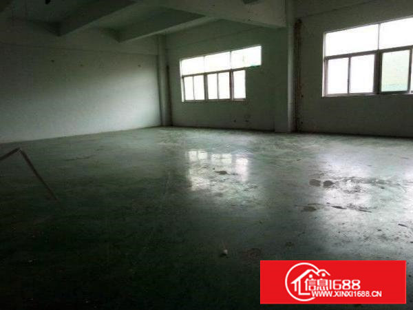 沙头1400平厂房招租豪华现成办公室,水电齐全