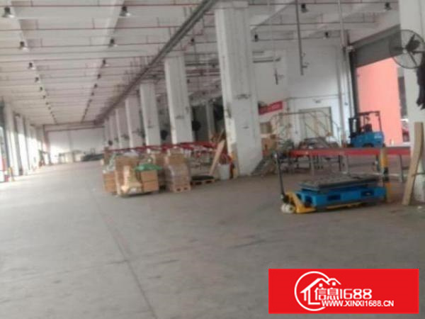 杏坛高新区5000方3层独栋厂房招租