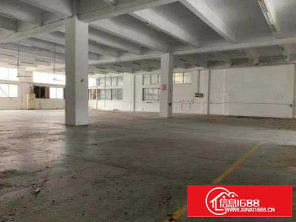 石排沙角村业主直招！业主直招！标准一楼1000平，水电齐全