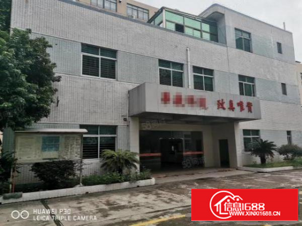 靠近松山湖带红本独门独院厂房出租环评包过交通方便空地大